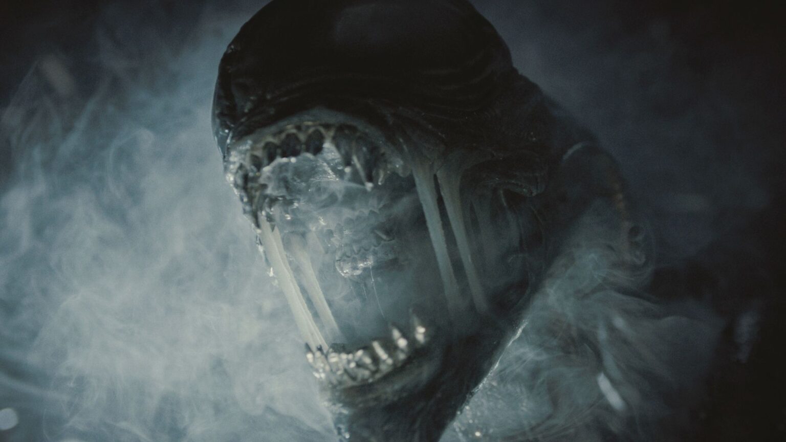 Alien Romulus Der erste gute AlienFilm seit 20 Jahren