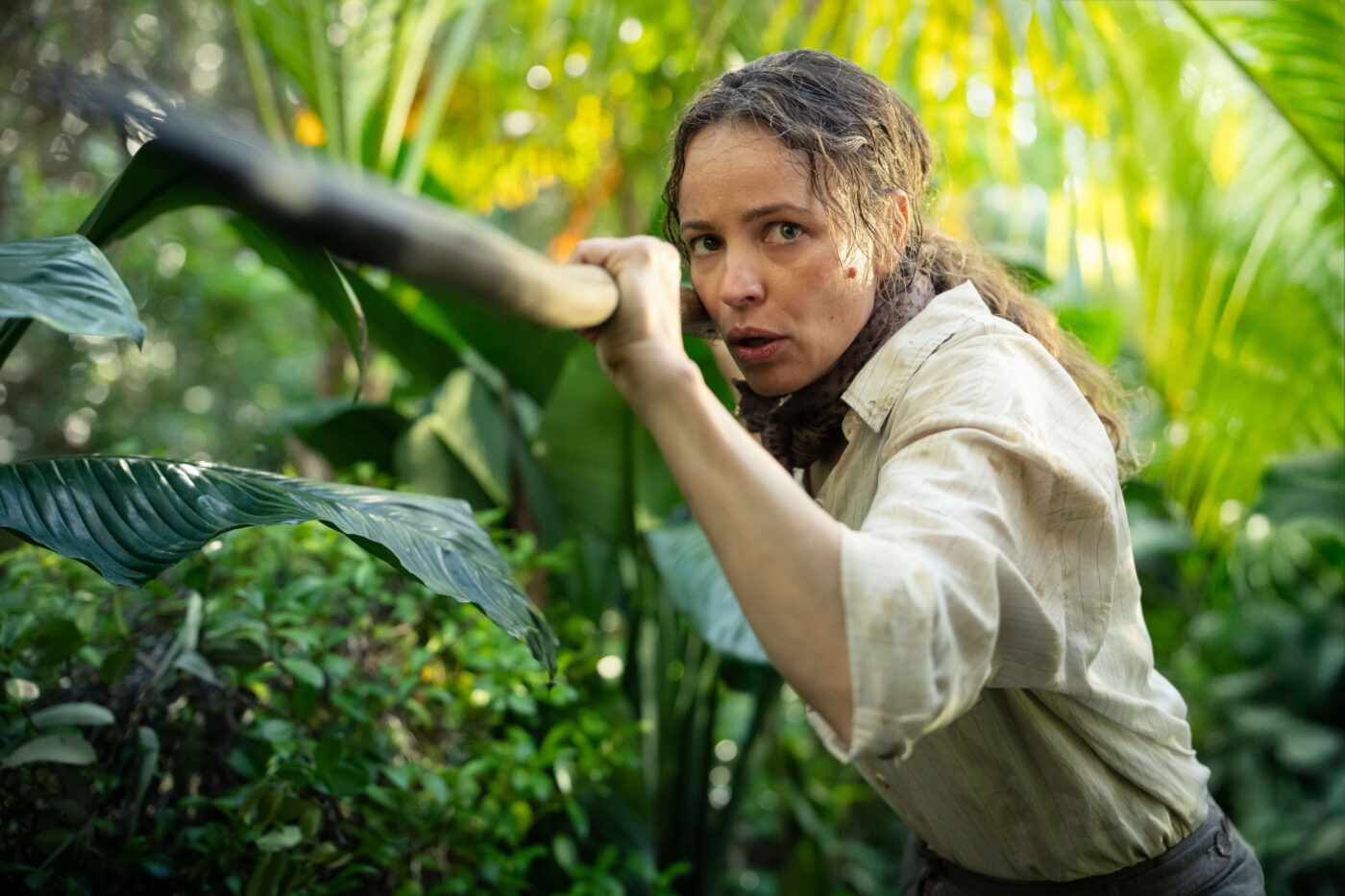 Send Help: Sam Raimis Insel-Thriller startet im Mai auf Disney+ ...